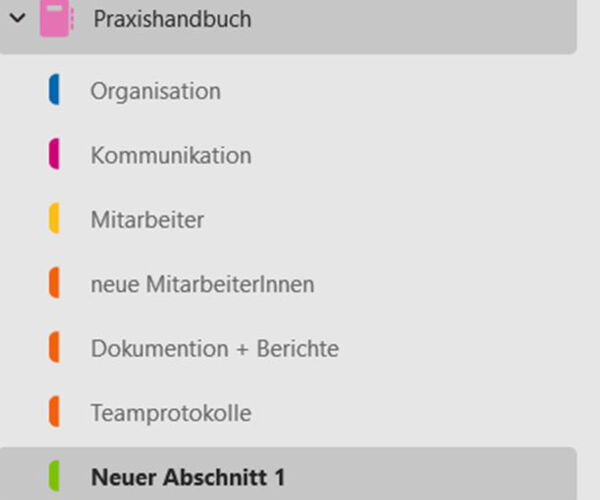 Screenshot von OneNote: Neuen Abschnitt anlegen