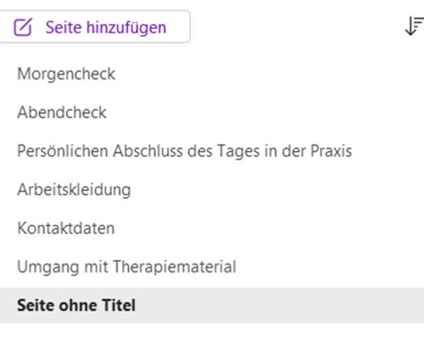 Screenshot von OneNote: Neue Seite einfügen
